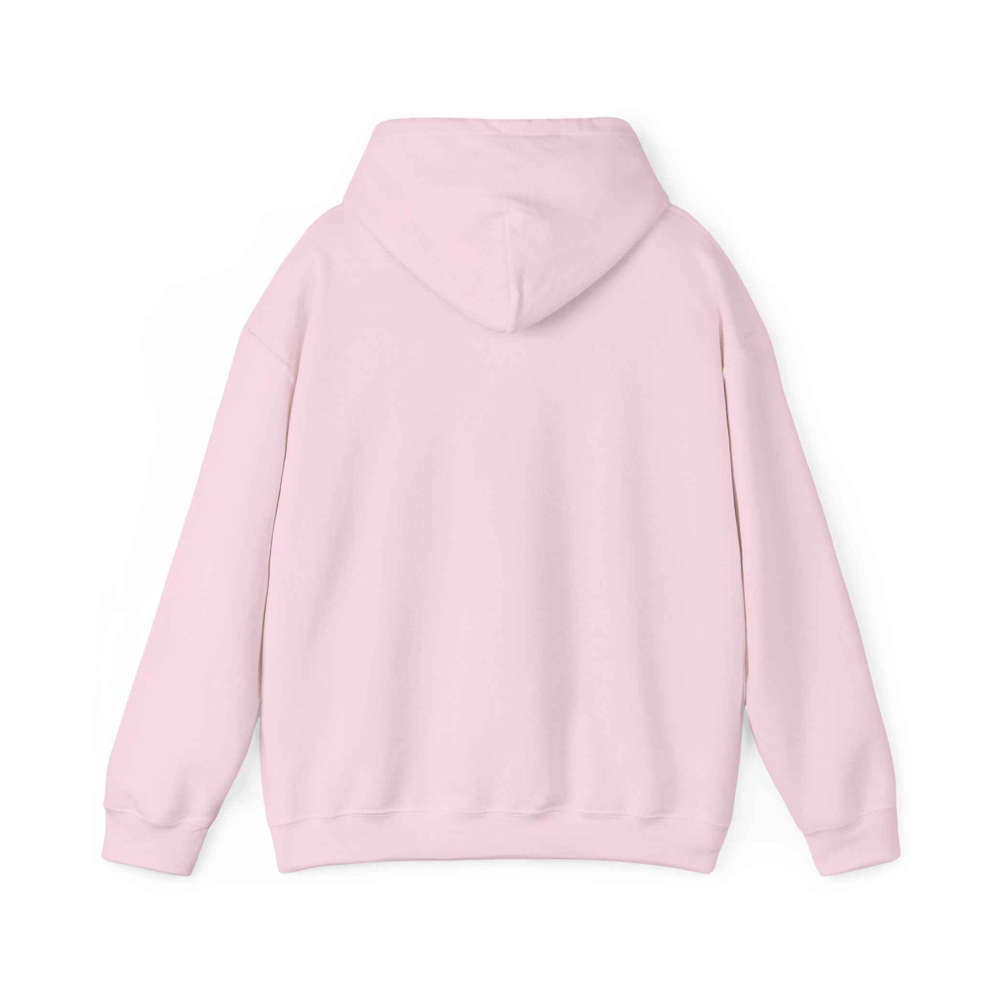 Minimal Geometric Eagle Hoodie — Modern Monochrome Logo Sweatshirt