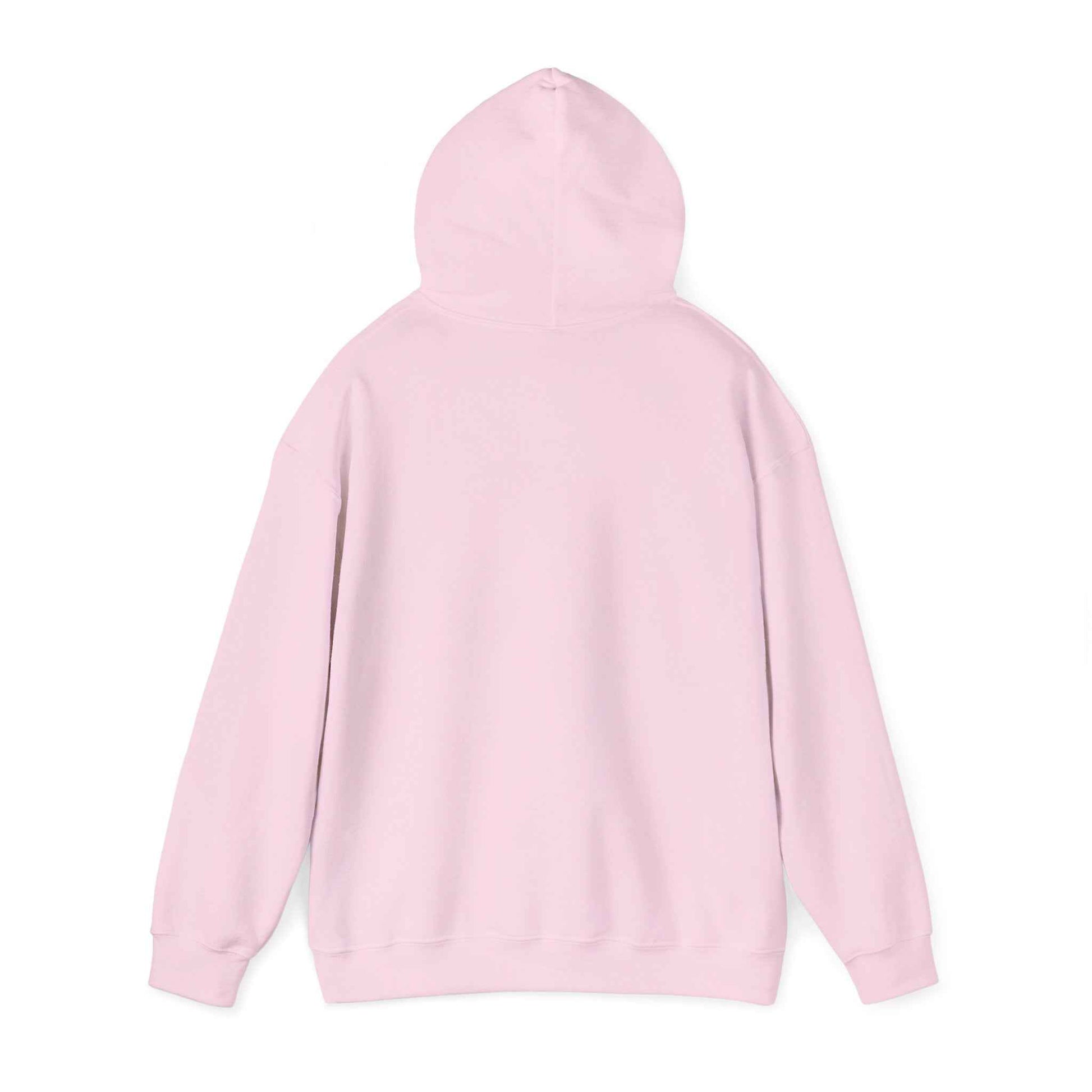 Minimal Geometric Eagle Hoodie — Modern Monochrome Logo Sweatshirt