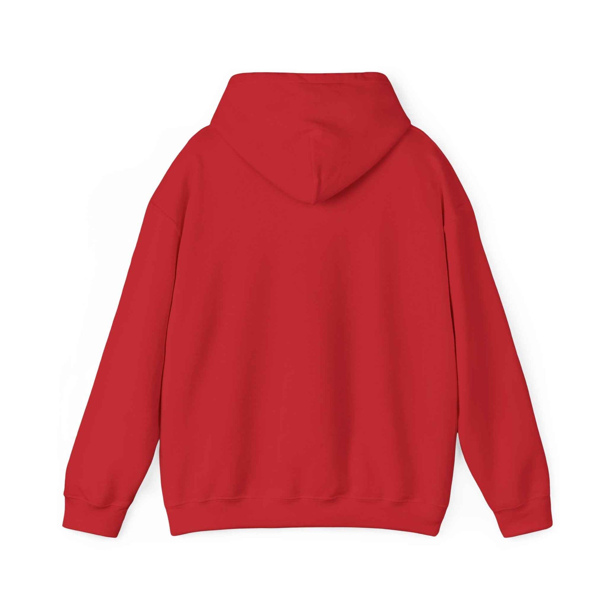 Minimal Geometric Eagle Hoodie — Modern Monochrome Logo Sweatshirt