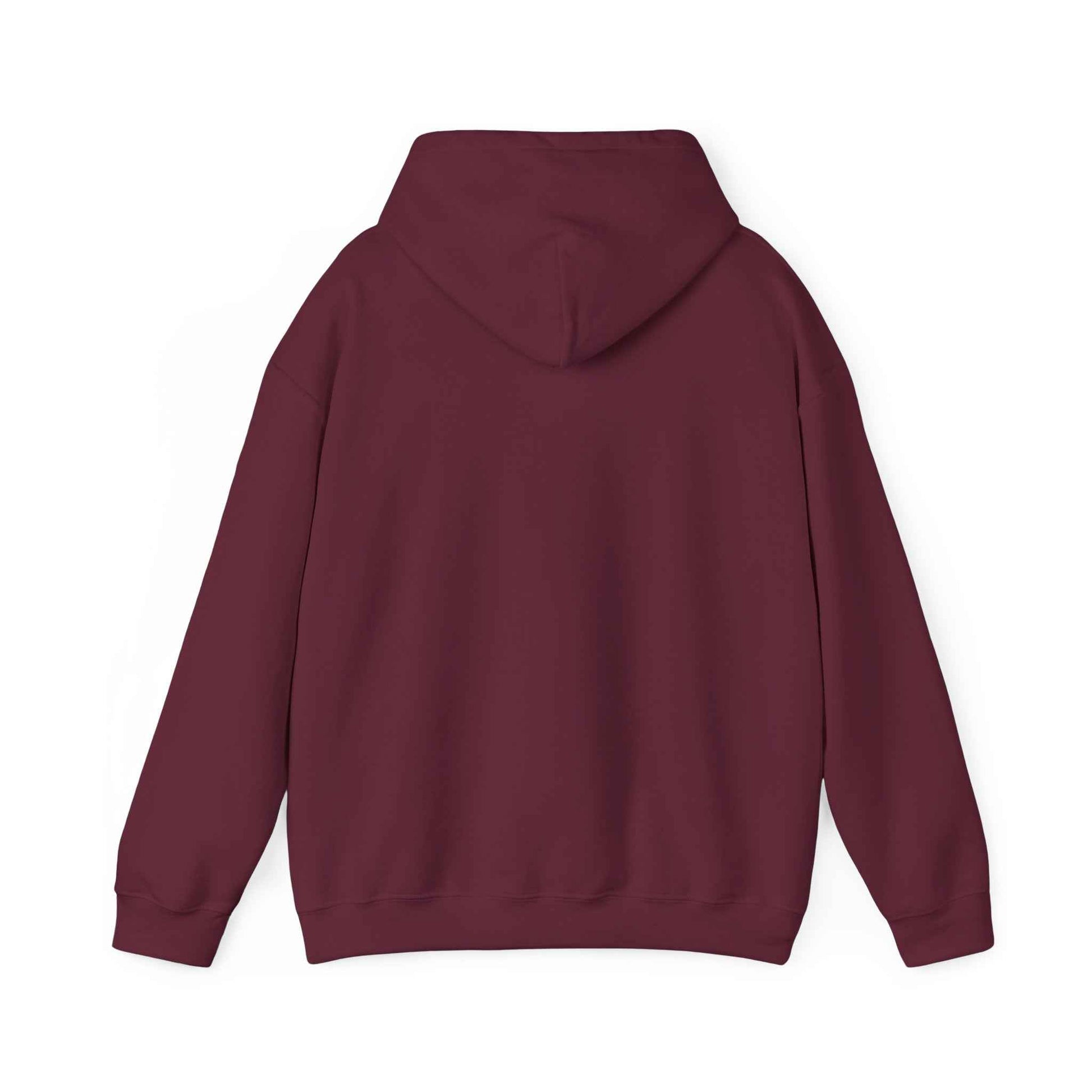Minimal Geometric Eagle Hoodie — Modern Monochrome Logo Sweatshirt