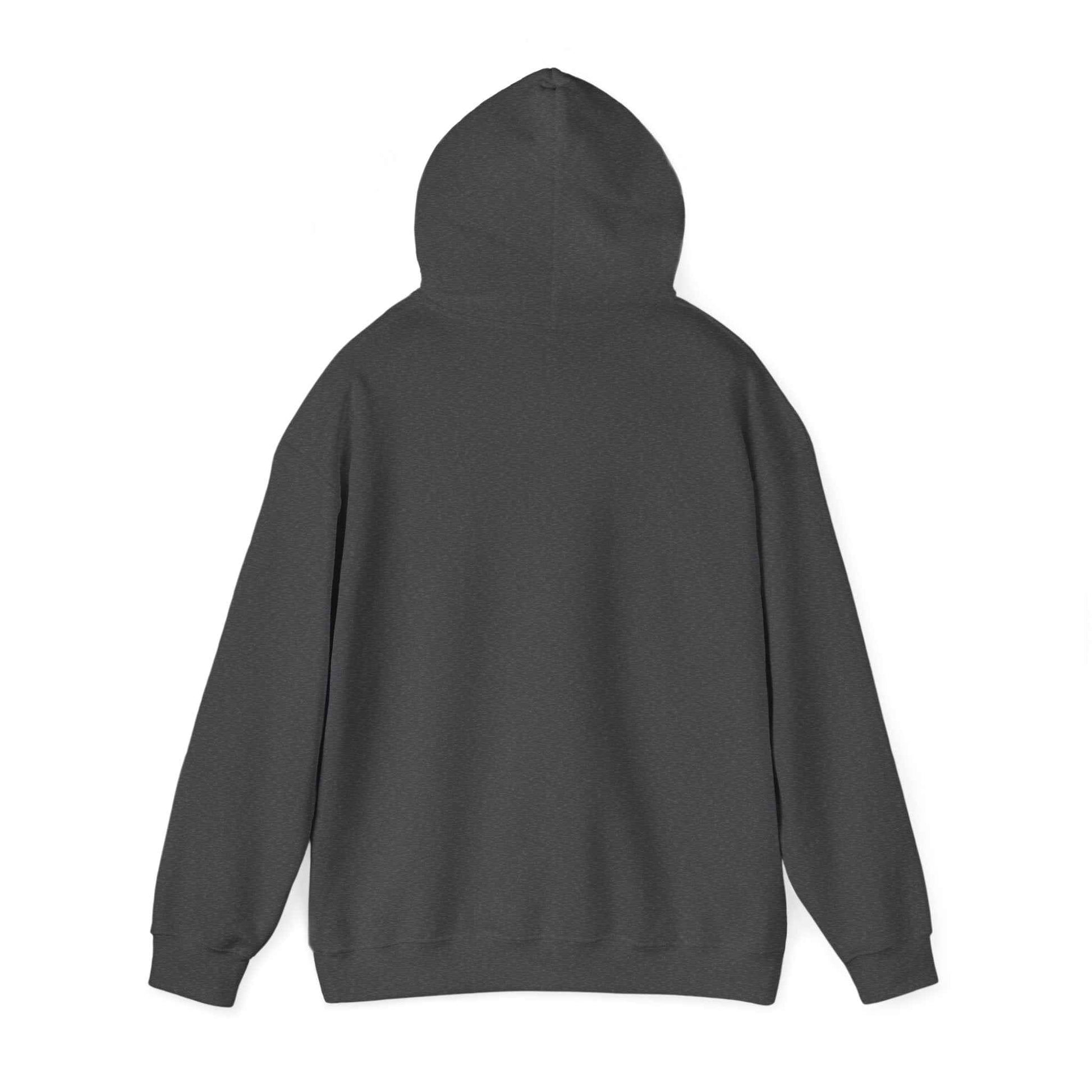 Minimal Geometric Eagle Hoodie — Modern Monochrome Logo Sweatshirt