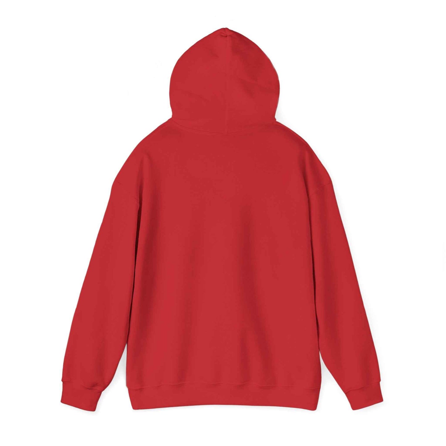 Minimal Geometric Eagle Hoodie — Modern Monochrome Logo Sweatshirt
