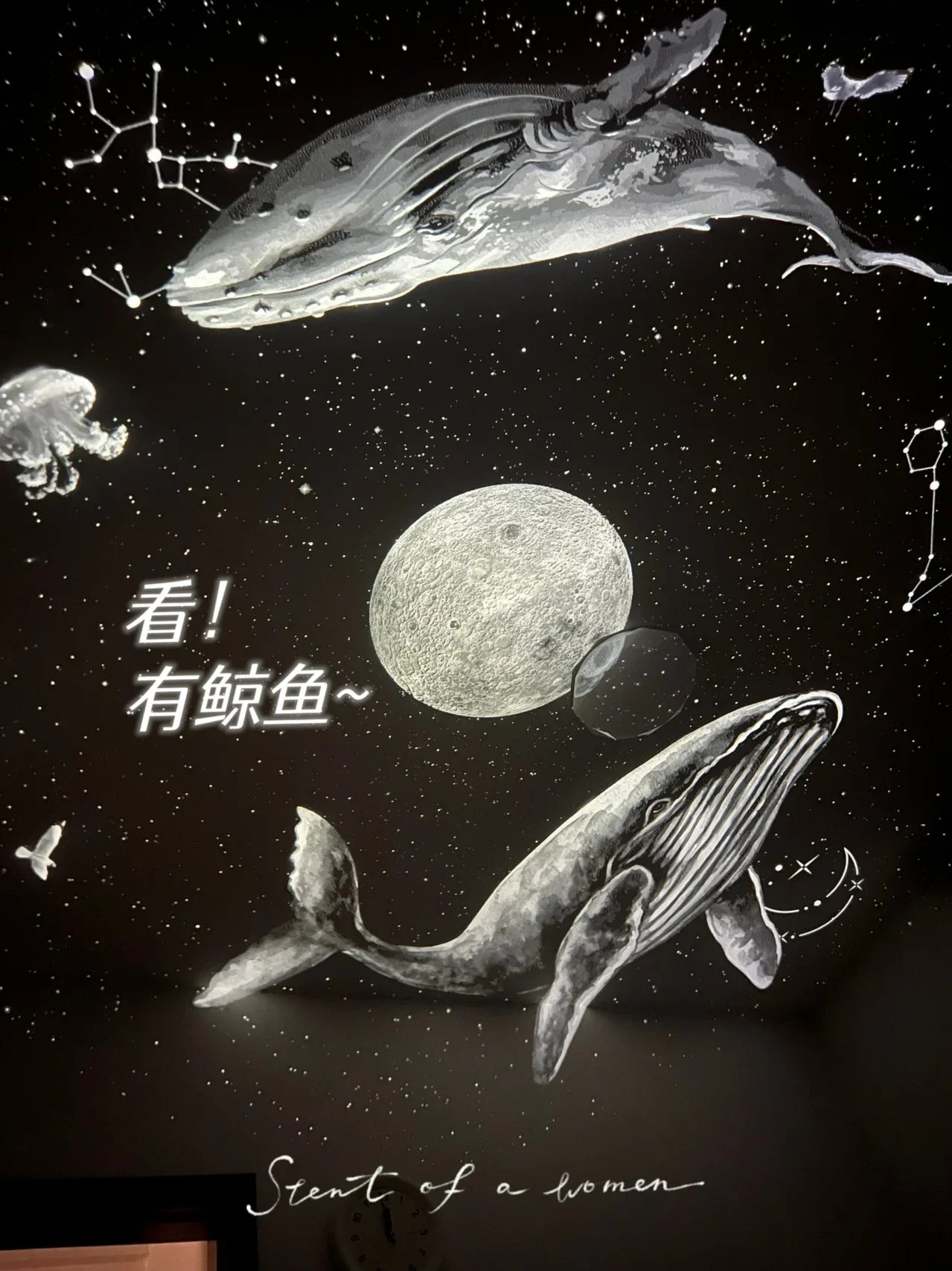 NEW UFO LED Star Projector Night Light 8 in 1 Planetarium Projection Galaxy Starry Sky Projector Lamp for Kids Gift Room Decor