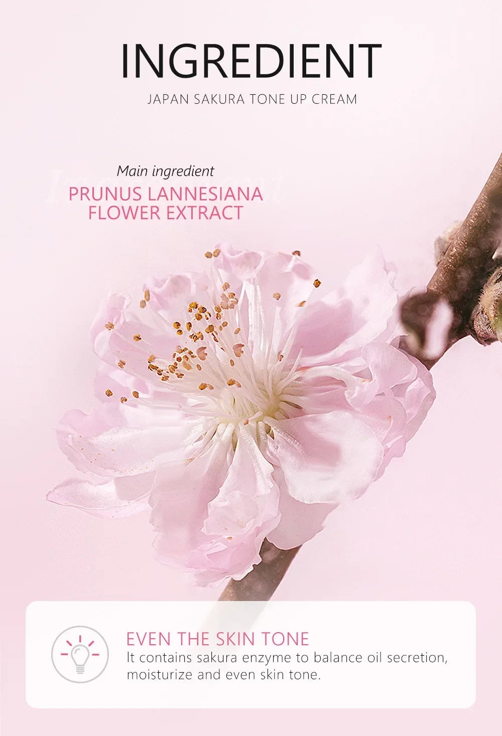 LAIKOU Cherry Blossom Suyan Cream Moisturizing Lazy Face Cream Tone up Brighten Skin Care Products Waterproof Sweatproof 30g